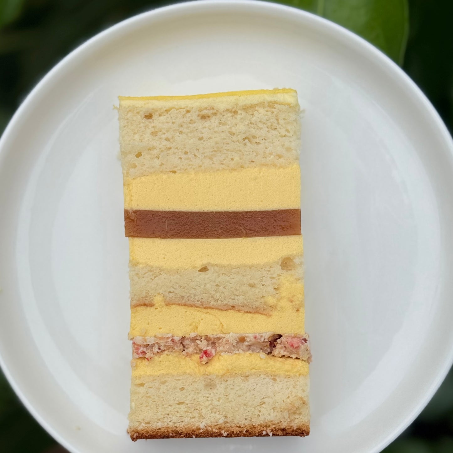 Tropical Bloom Patisserie Cake